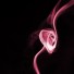 Smoking Red Rose